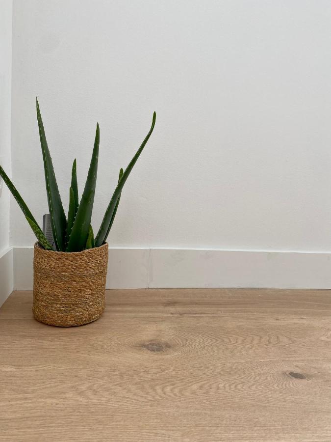 Mm Greenhouse Appartement / Tourcoing - Lille 외부 사진